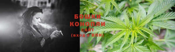гидропоника Арсеньев