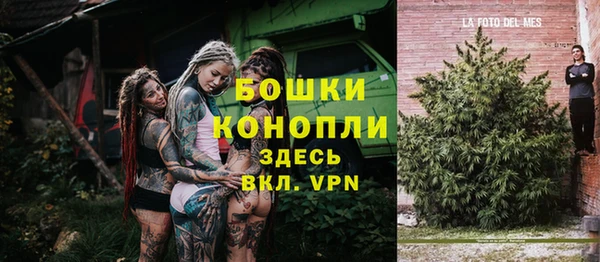 СК Алзамай