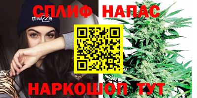 сатива Волжск