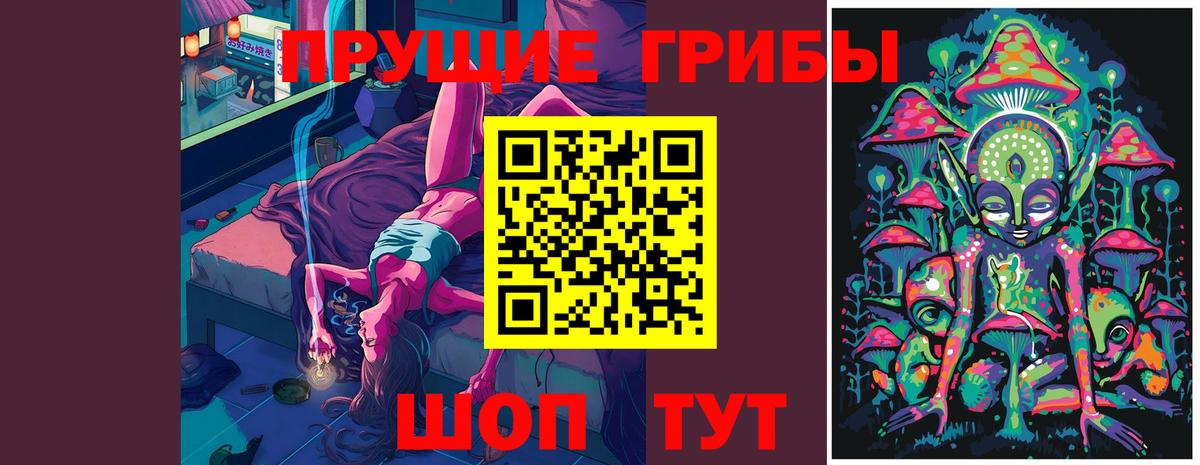 Лесосибирск  Галлюциногенные грибы Cubensis  Вход с VPN 