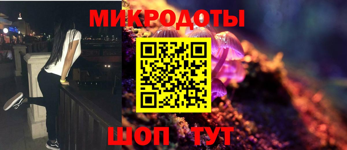 Псилоцибиновые грибы Psilocybine cubensis Лесосибирск